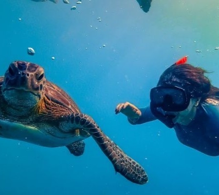 Caretta Tour Demre Karemlik