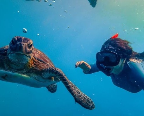 Caretta Tour Demre Karemlik